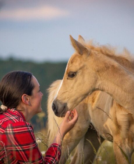 Škola jahanja na Yellow Ranchu – upisi u tijeku!