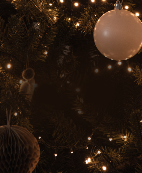 Sretan Božić i uspješna nova 2026. godina!