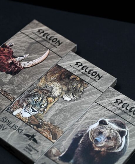 JU Baraćeve špilje po drugi put nagrađena nagradom Simply The Best